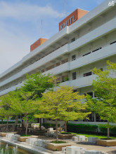 65 ปี