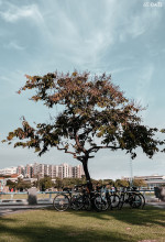 KMITL Photo Contest 2025