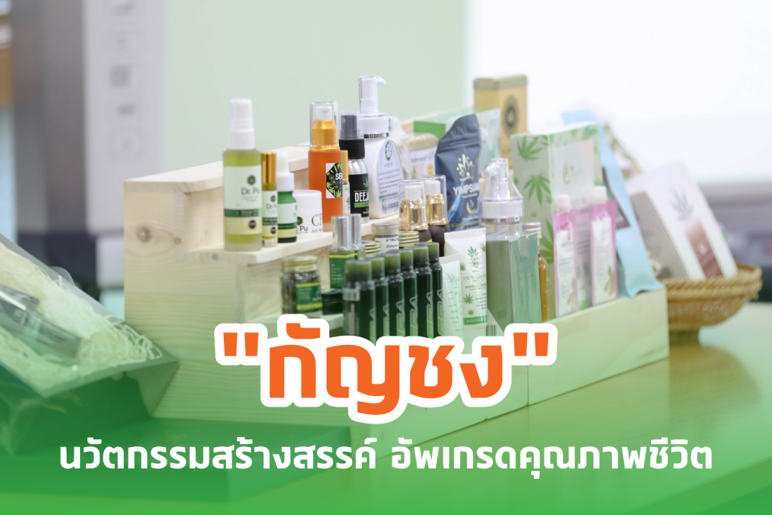 กัญชง2.png